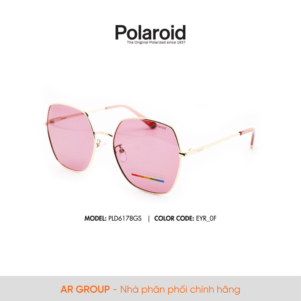 Polaroid Sunglasses PLD6178GS 1